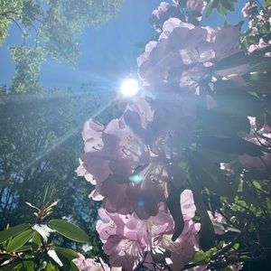 Meet your Posher, Marko